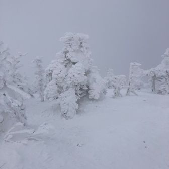西大嶺　山頂付近