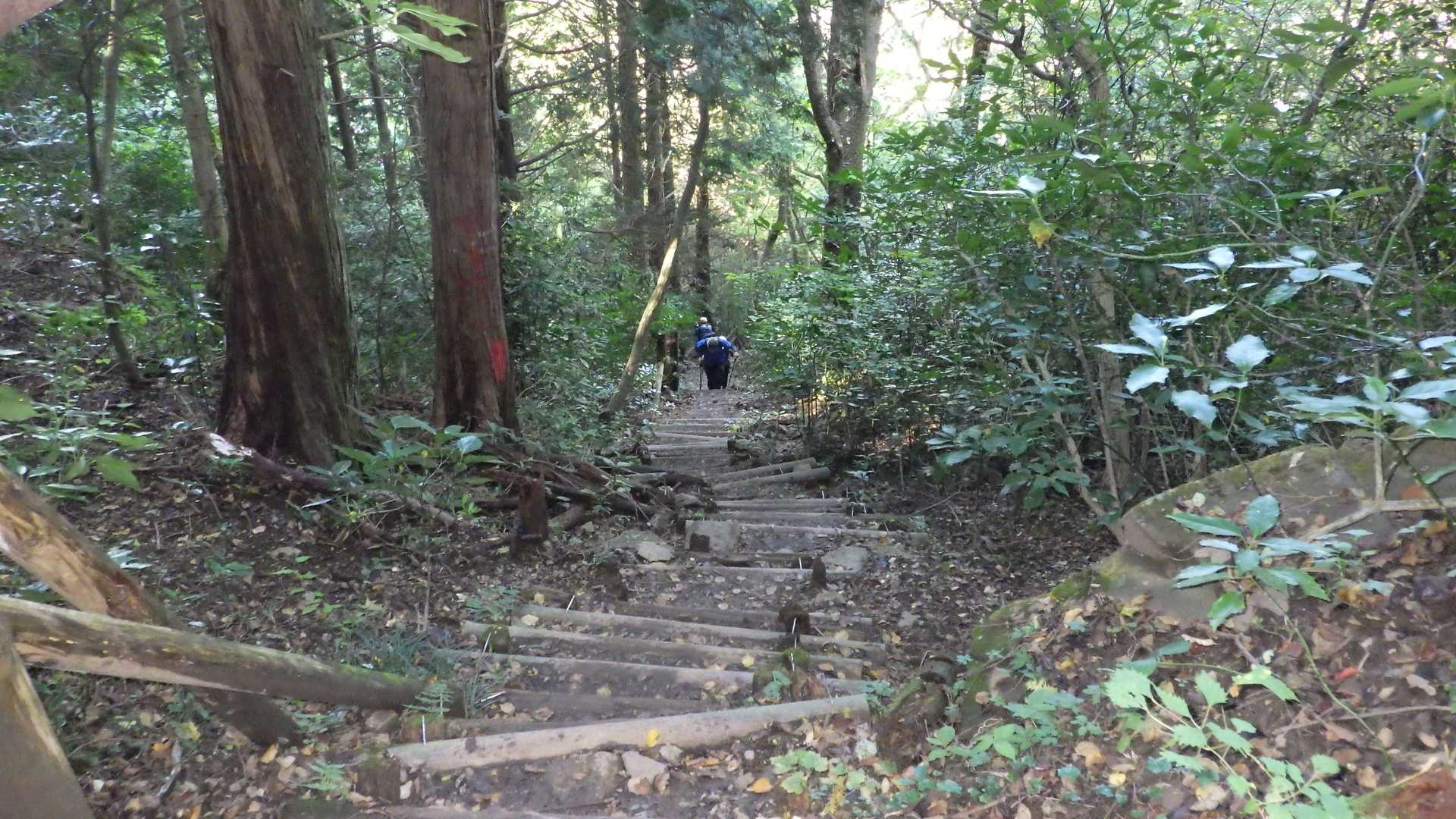 薬王院-筑波山 往復コースの写真
