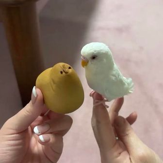 ひろたん