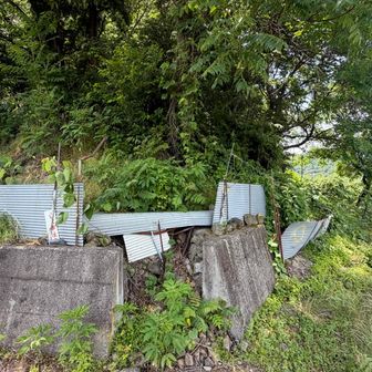 電気柵の隙間の角に出てくる(登山道じゃない！)