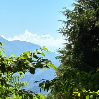 20分程粘っても富士山はほんのちょろっとしか見えず😑