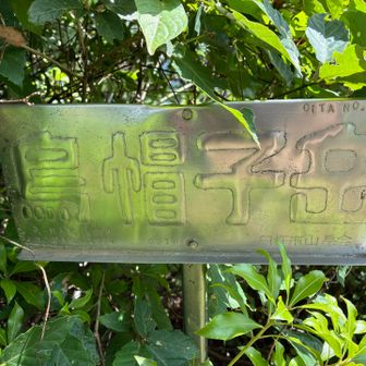 臼杵市山岳会さんの山頂プレートがここにも
ありがとうございます