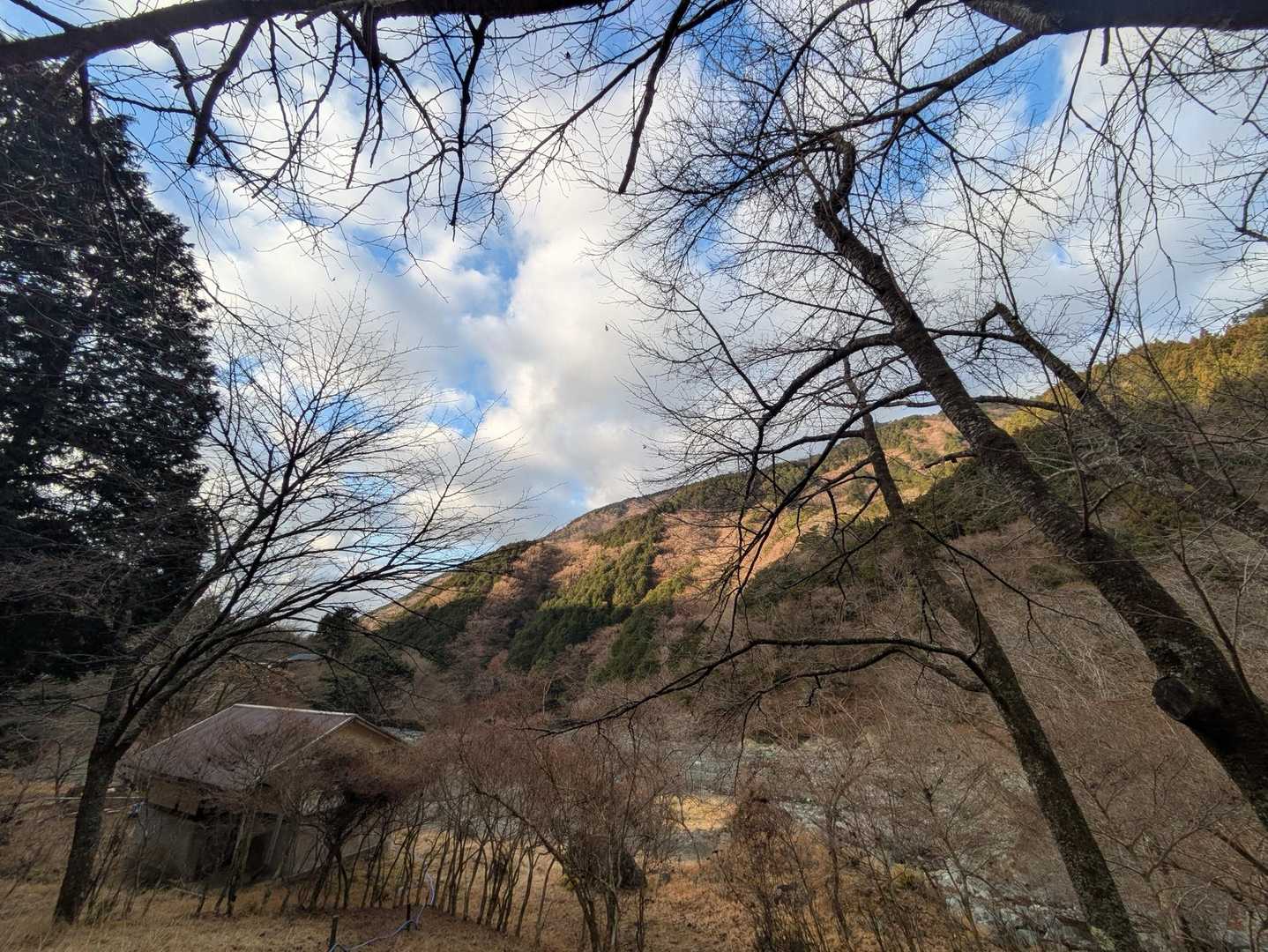 烏尾山 往復コースの写真