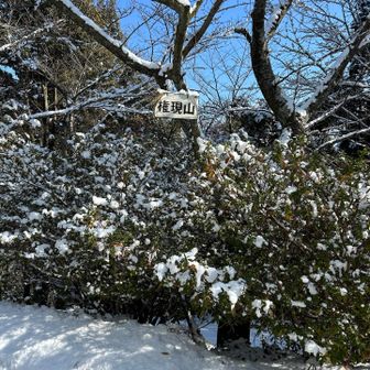おしゃべりしながらのんびり歩いて山頂。
阿武山まで行く話もあったけど、もうここで十分でしょうということで降りることに😅