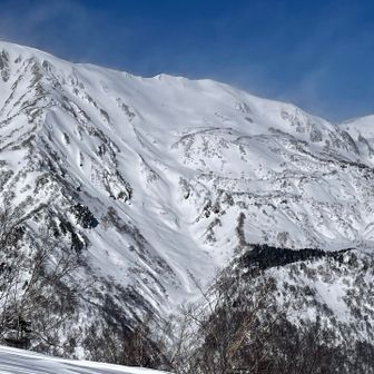 金山沢下の方がまだ埋まってないのかな？