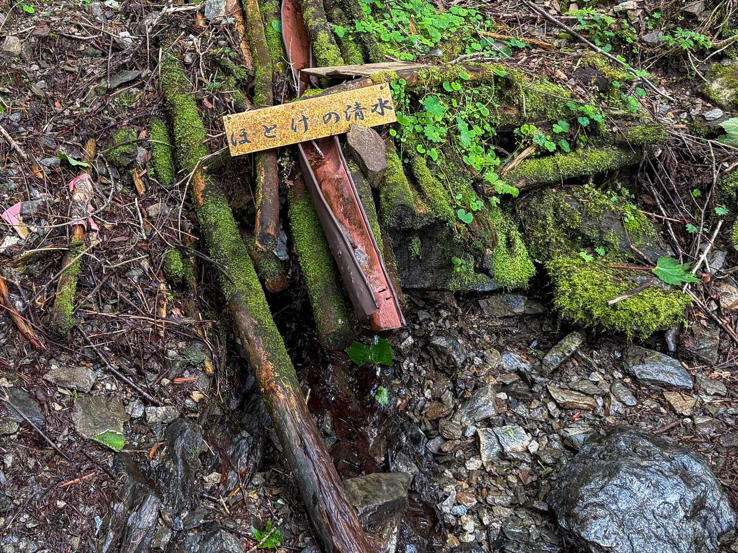 本谷山-三伏山-三伏峠-鳥倉登山口 縦走コースの写真