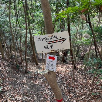 皆さんがよくアップしてる天使が見たくて