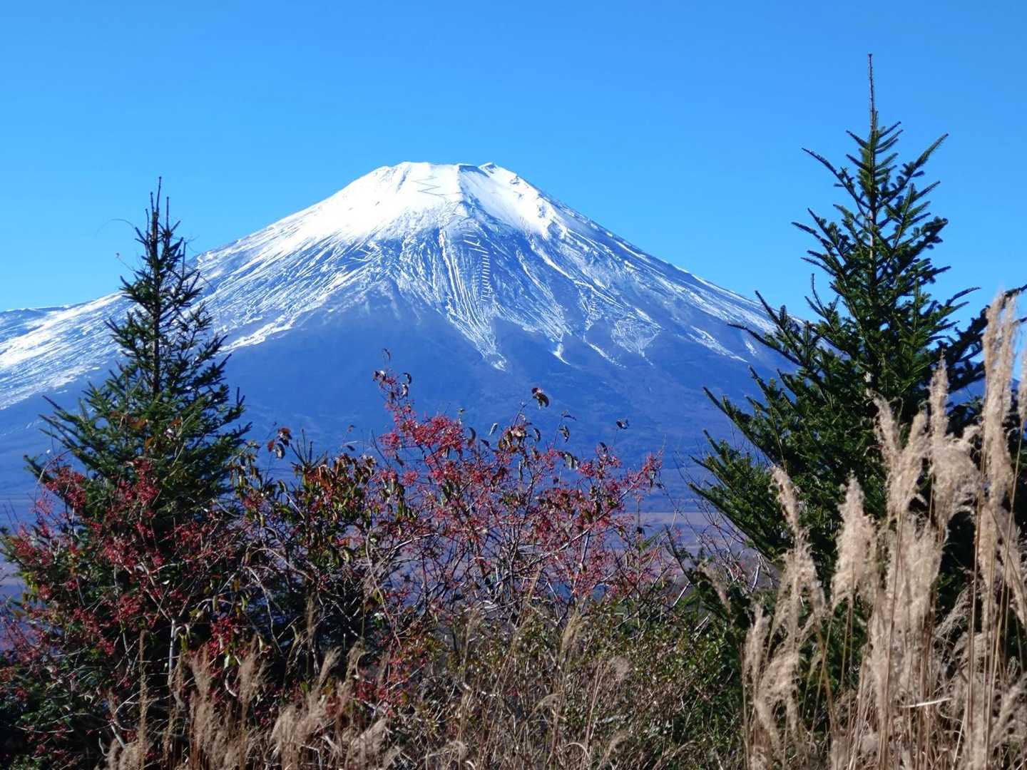 石割山 | 割れた巨岩を御神体とするパワースポットから、間近に富士山を望む稜線への写真