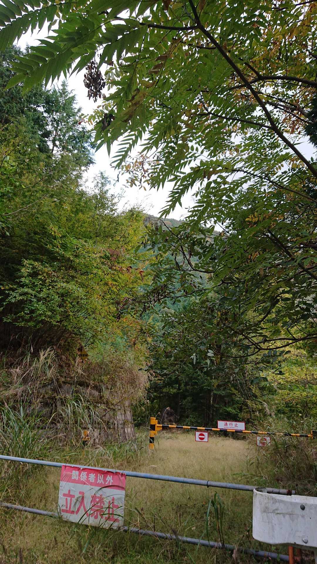 駐車場の城山コース登山口の右側の林道からの熊倉山方面