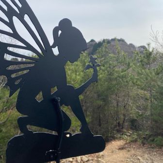 イナバ山の妖精