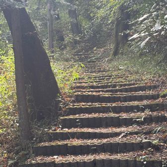 まあまあの階段地獄