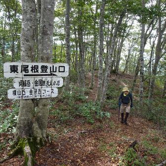 緩やかになる