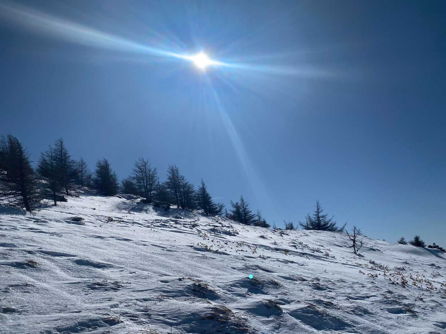 お天気いいね☀️