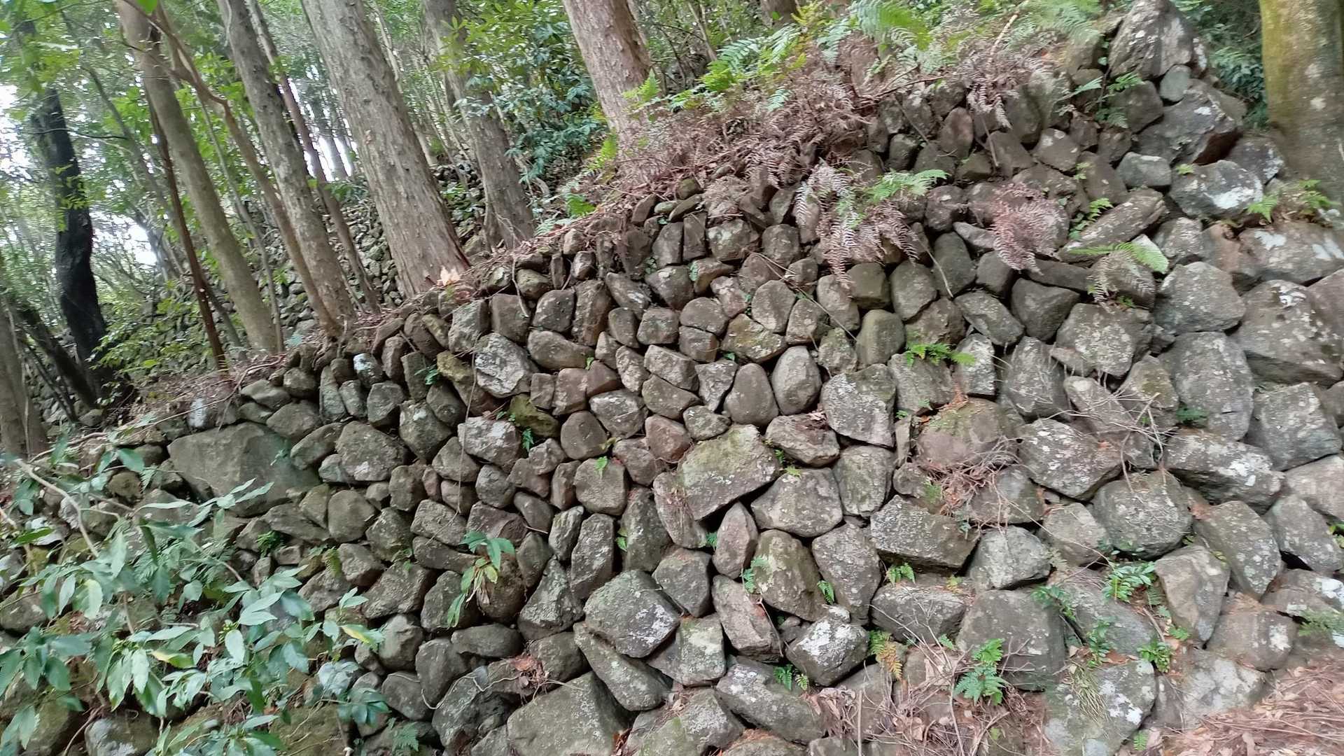 見事。納豆みたい。