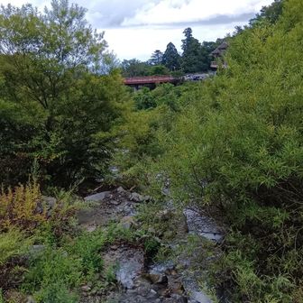 南光河原と書かれた看板にそって初めて来てみたらモンベルの上の佐陀！川に