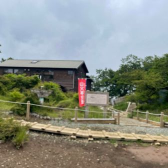 塔ノ岳以降の道を知らなかったのでどんな感じなのかワクワクしてました😁