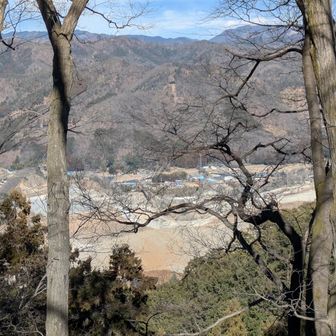 両崖山・仙人ヶ岳・石尊山 ここまでビミョーな山替えの稜線を進み
藪の中の階段を進み

北側にセメント採掘場を見下ろす稜線に出た