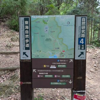 ここから左の東海自然歩道を通っていきます。
あとで調べたら、箕面ビジターセンターが東京の高尾山から続く東海自然歩道の終点だそうです😳