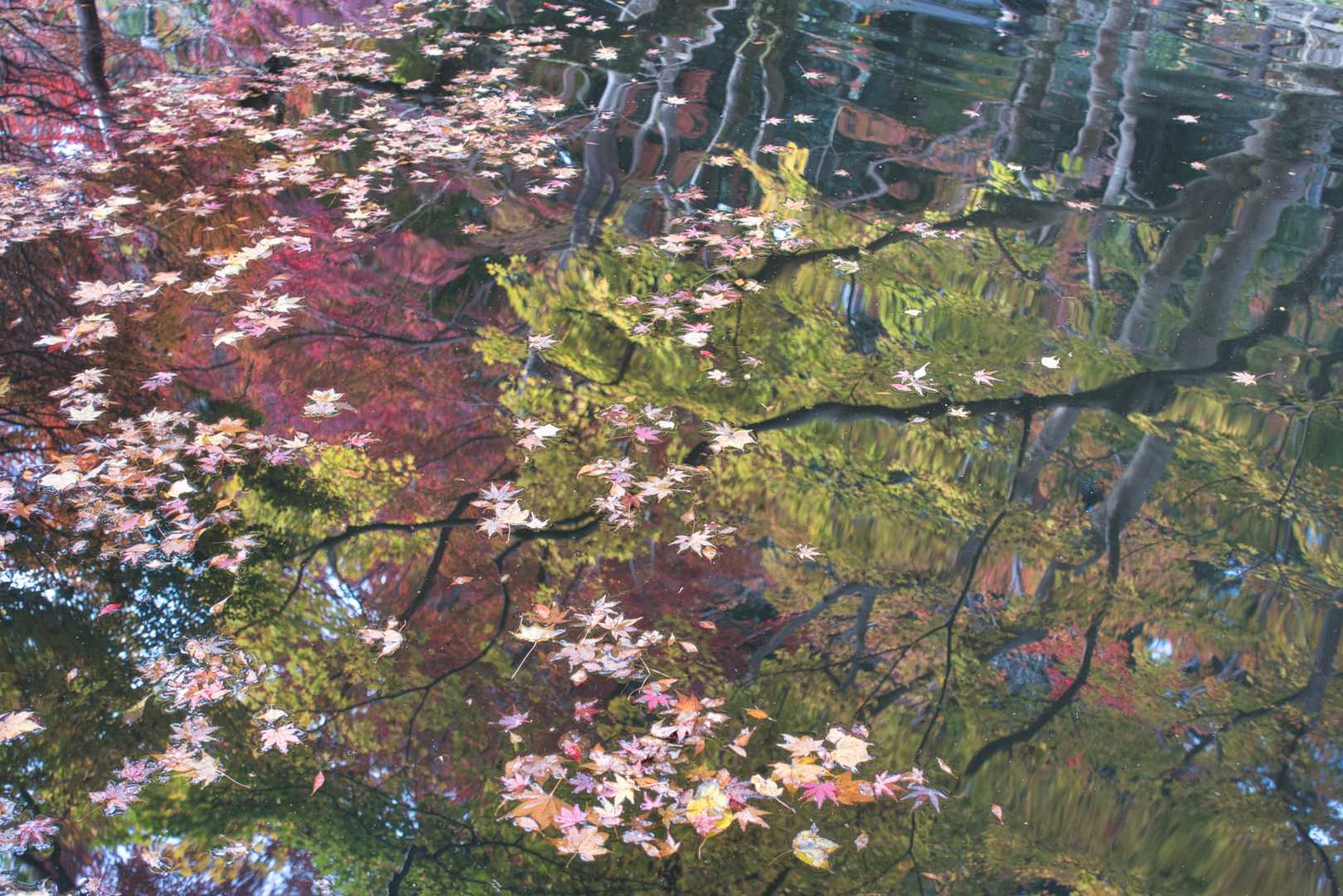 談山神社バス停-談山神社-御破裂山 往復コースの写真