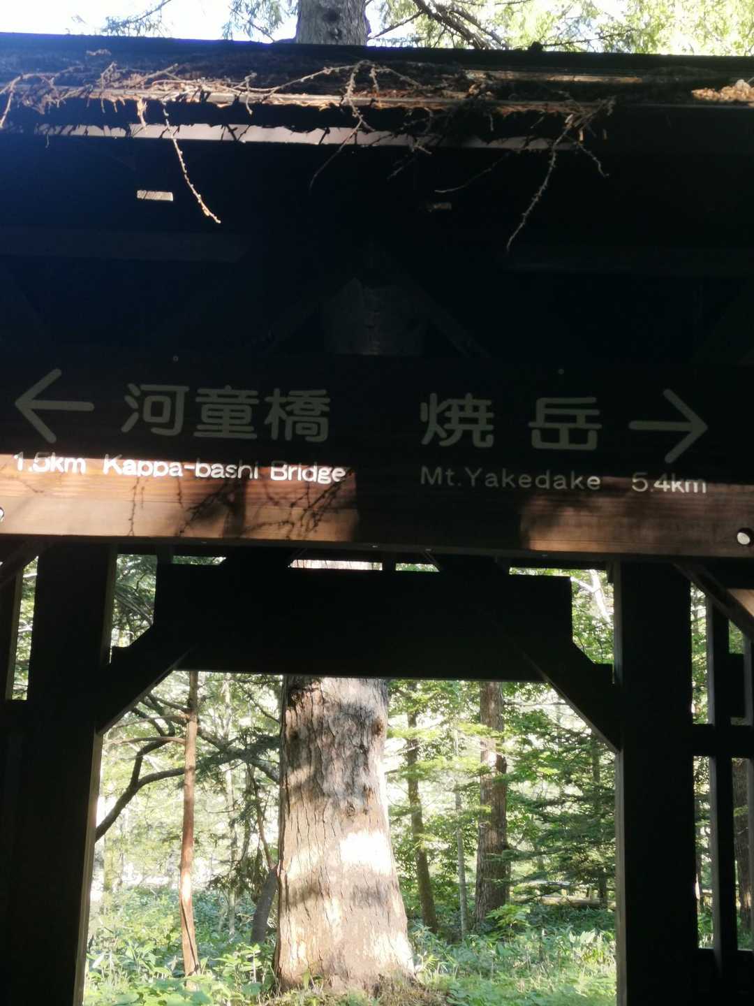 焼岳方向と上高地方向