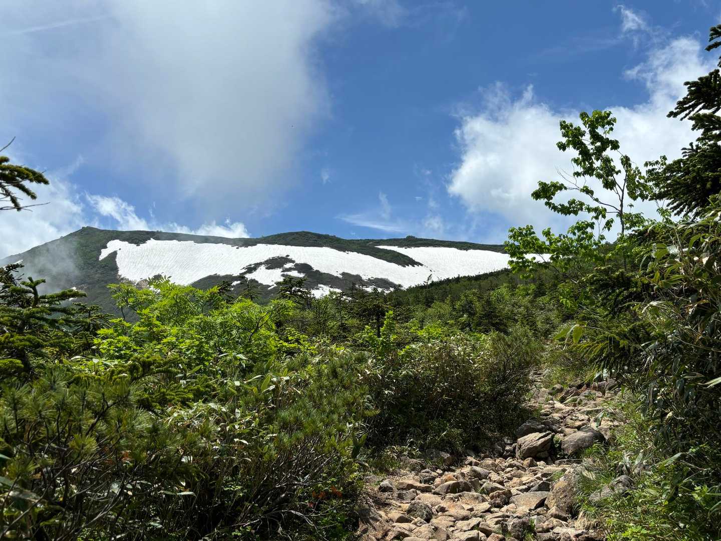 栂池自然園の登山口 往復コースの写真