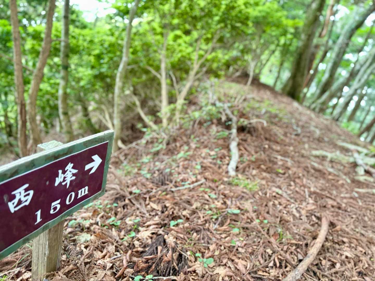 西峰へ！