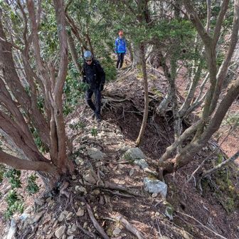 本道以上の痩せ尾根だけど、歩ける道はあり。このすぐ後にロワーダウンの必要な急坂が現れた