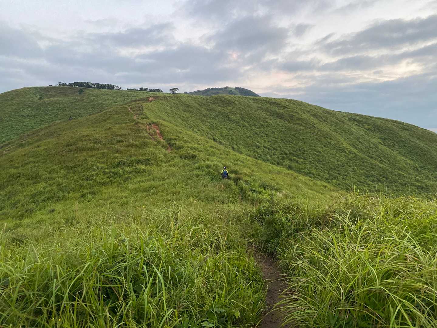 稜線まであがると涼しい風が～
向こうに見えてる貫山を目指します