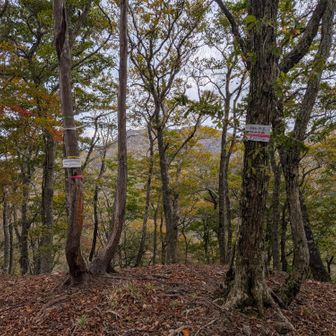 北西尾根登頂♪
🎦有り