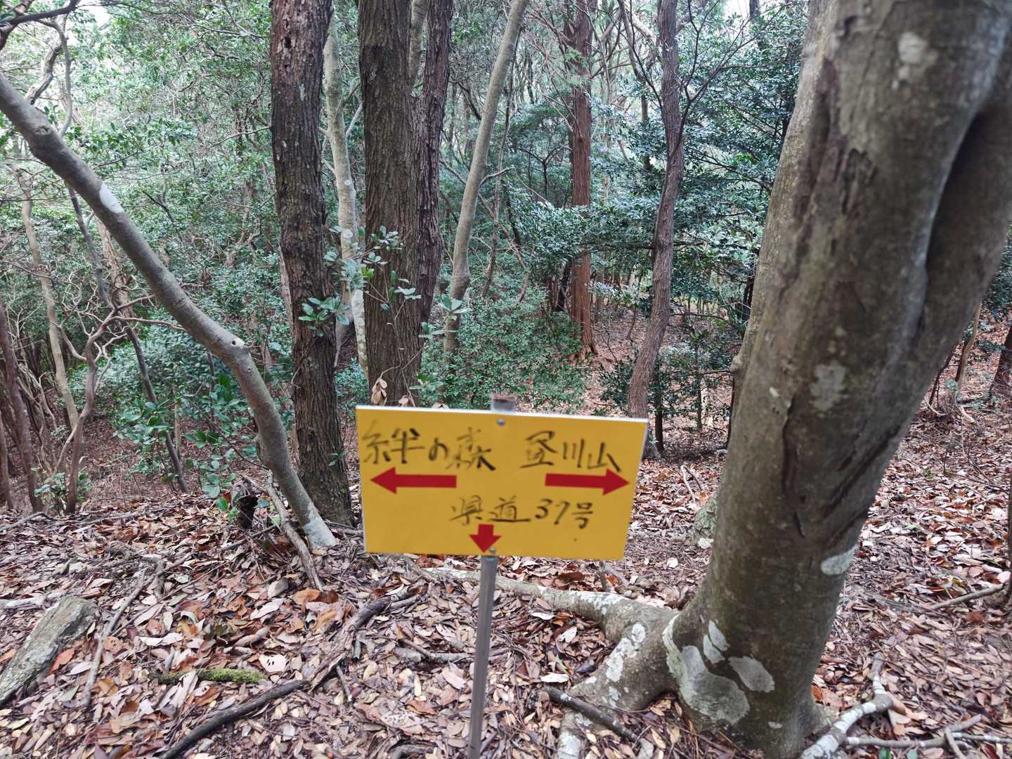 朝熊岳北谷・二瀬橋コース登山口-昼川山 往復コースの写真