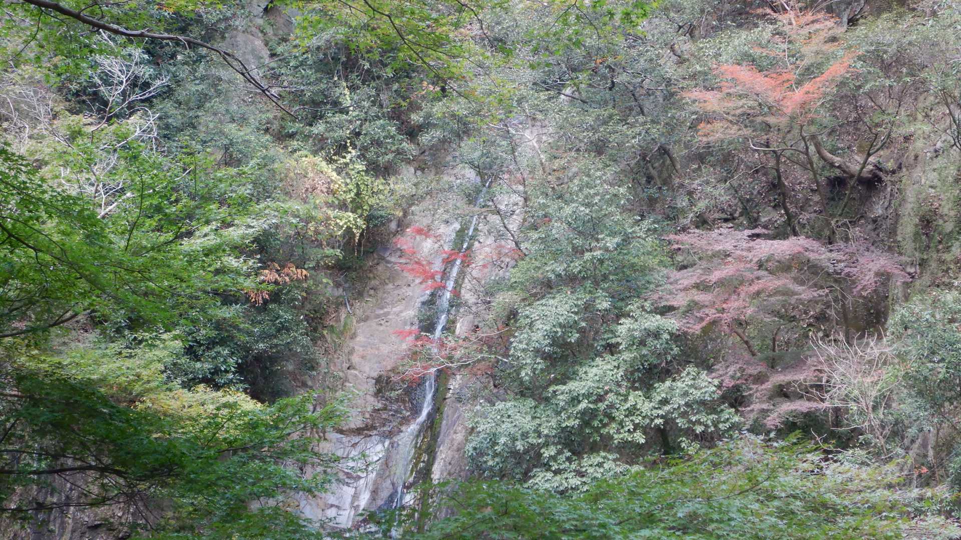 布引の滝(雌滝)の水量が少ないです。
このまま雨が降らないと、水不足がちょっと心配です。
全員無事下山🙏
近くの公園で整理体操と終礼をして終了しました。