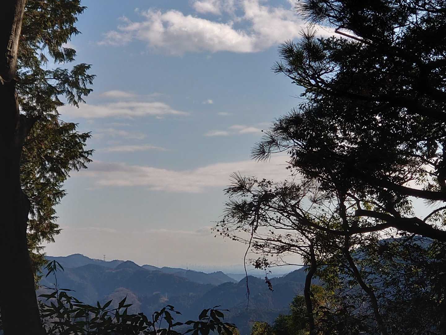 やっと景色が見えてきました