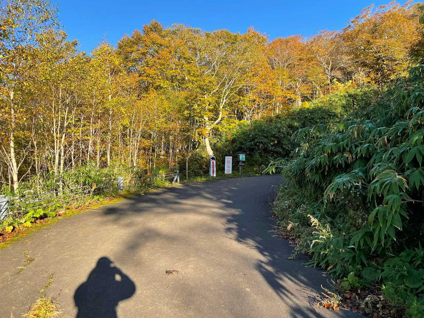 三ツ石山往復 | 山肌が真っ赤に染まる奇跡の全山紅葉、岩手山を望むパノラマ特等席の写真