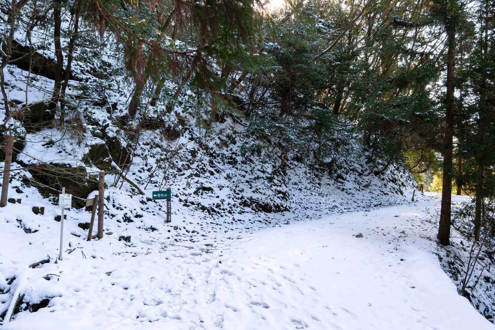 落葉コースまで下りてきました