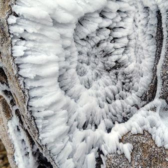 中心に向かう不思議な模様(氷の華)