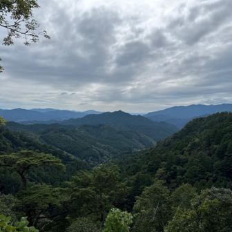 本堂前の景色✨