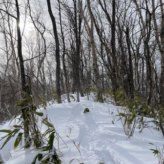 前ピークに着！
ここに来ると、マーティさんの
"ひゃっほー"を思い出す🤗