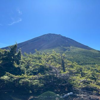 奥庭からの富士