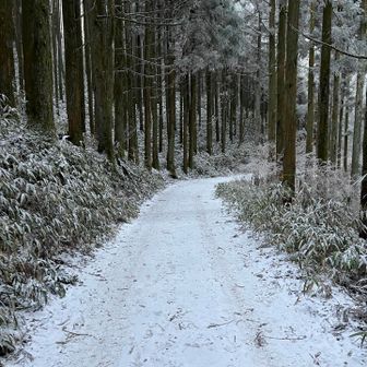 頂上の写真何故か消えてた