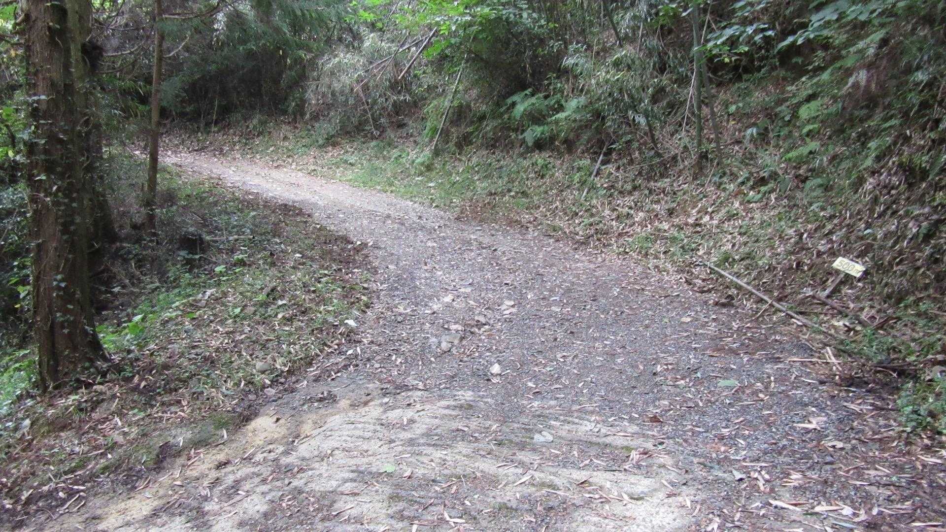 別の投稿でマウンテンバイクやカブが登ったのを観たことがあります。