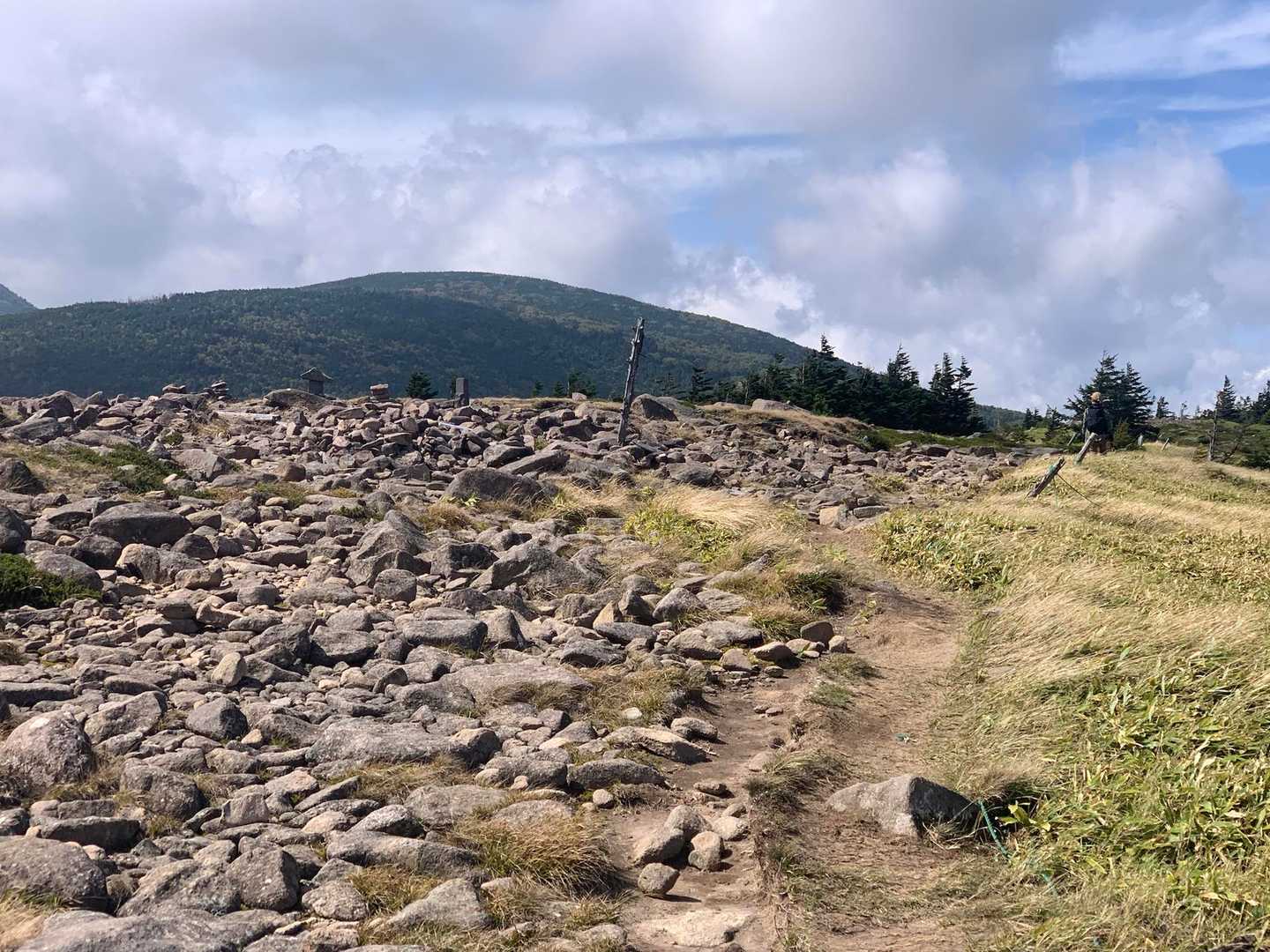 双子山、登りやすくて良いところ🩷