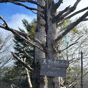 石丸峠から少し足を伸ばして天狗棚山⛰️