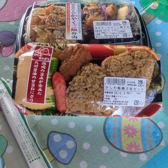 麓のスーパーで買ったお弁当を東屋で頂く