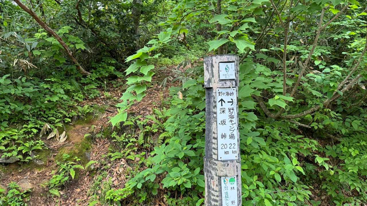 信越トレイル#4（sec.5-6-7／関田峠〜伏野峠〜野々海〜天水山〜森宮之原駅） の写真 49