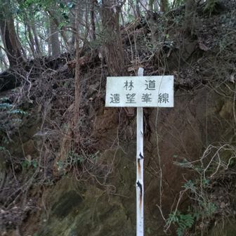 林道遠望峰線を少し歩きます。健康の道になってました