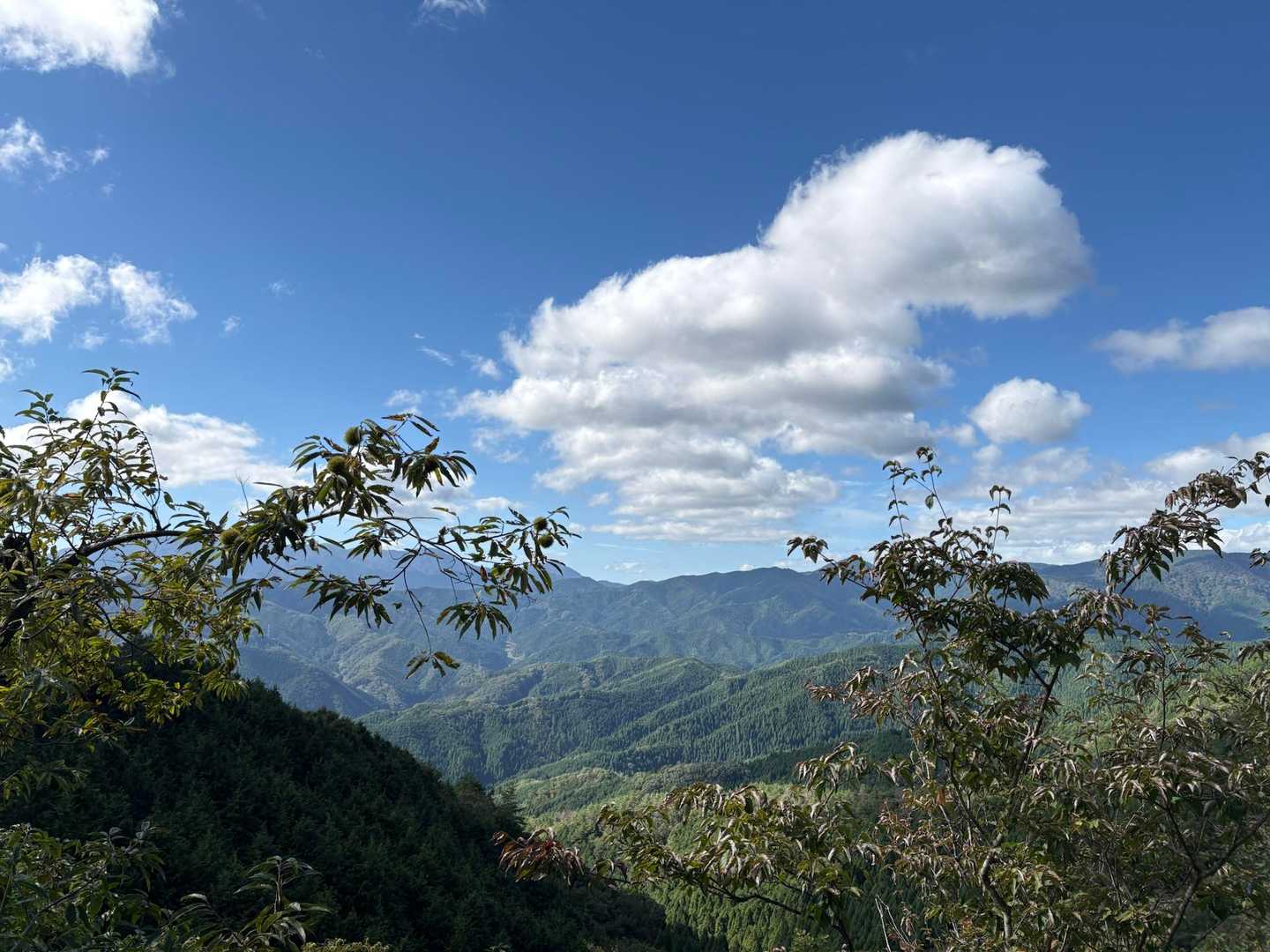 智頭　用瀬　青空