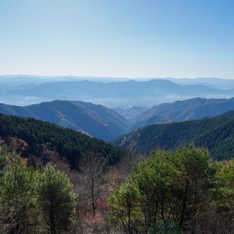 展望台からの眺め