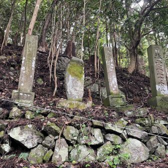 の前にお参り