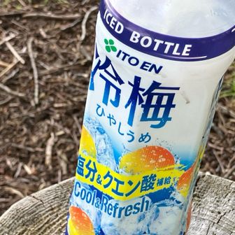 やっぱ夏は冷やし梅だよ。癒される。1時間の登りで完全にとけてました。