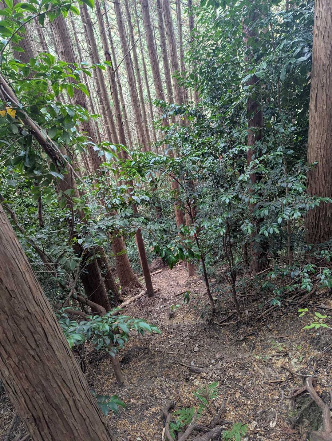 下って